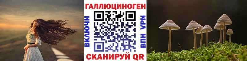 Псилоцибиновые грибы прущие грибы  Кондопога 